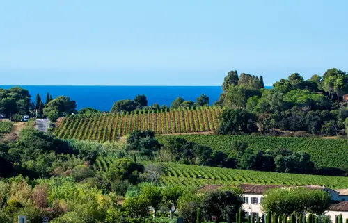 Côtes-de-Provence