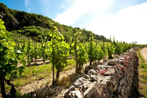 Crozes-Hermitage