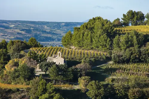 Gigondas